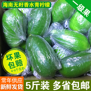 5斤装包邮海南香水青柠檬新鲜无籽柠檬一级果青柠檬古茗奶茶店用