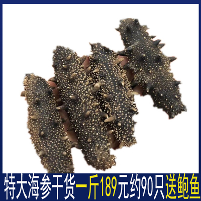 送鲍鱼淡干海参一斤500g大连辽刺参海参干货海渗生可选礼非即食