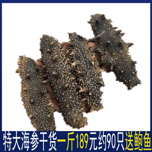送鲍鱼淡干海参一斤500g大连辽刺参海参干货海渗生可选礼非即食