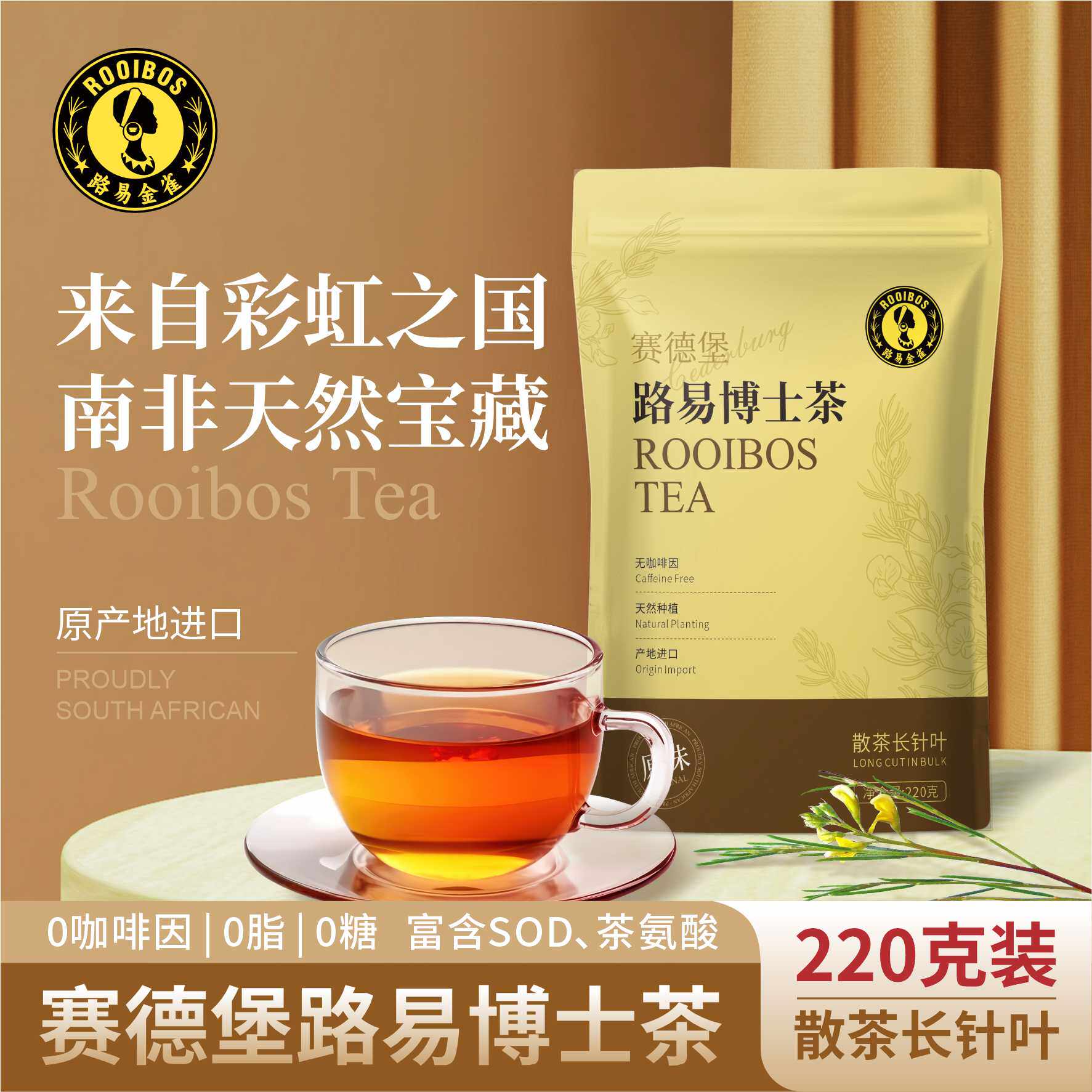 南非路易博士茶散茶长针叶