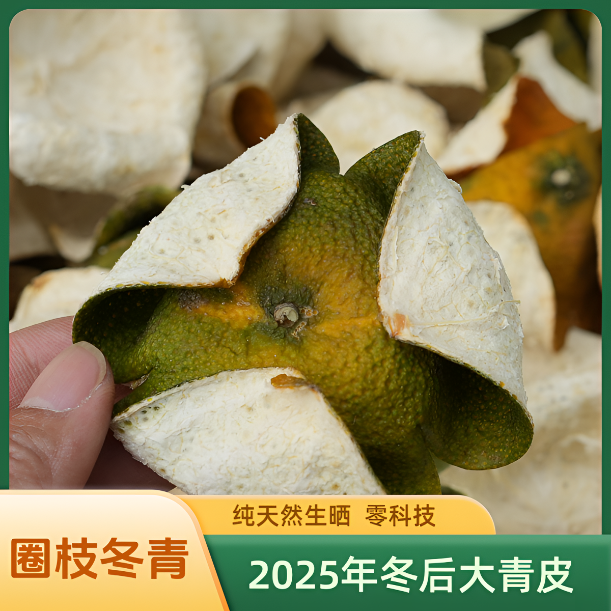 谊沏社保佬2025正宗新会三江冬后圈枝大青皮天然生晒不串产区1斤