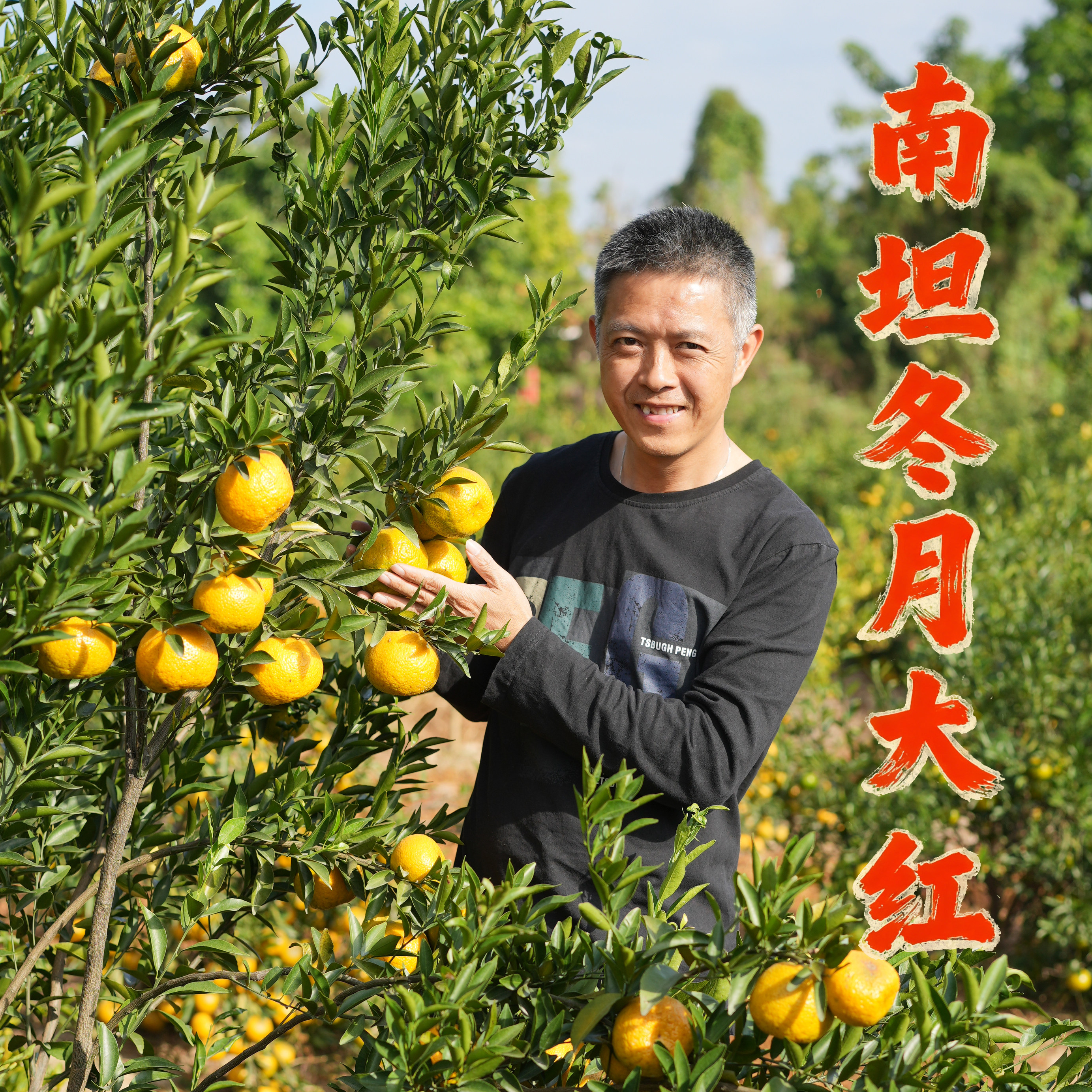 2025道地正宗新会南坦冬月大红皮狗腩皮生晒干皮铁桶装1斤2斤,零食/坚果/特产,陈皮,淘宝优惠券,粉丝福利购,淘宝优惠卷