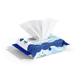 欧洁75度酒精湿巾50片杀菌擦手机擦马桶圈酒店名宿消毒湿纸巾便携