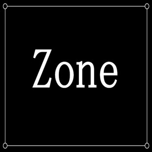 直播专拍奢恋小众设计高级感轻奢流苏耳环珍珠优雅新款 潮耳饰特价