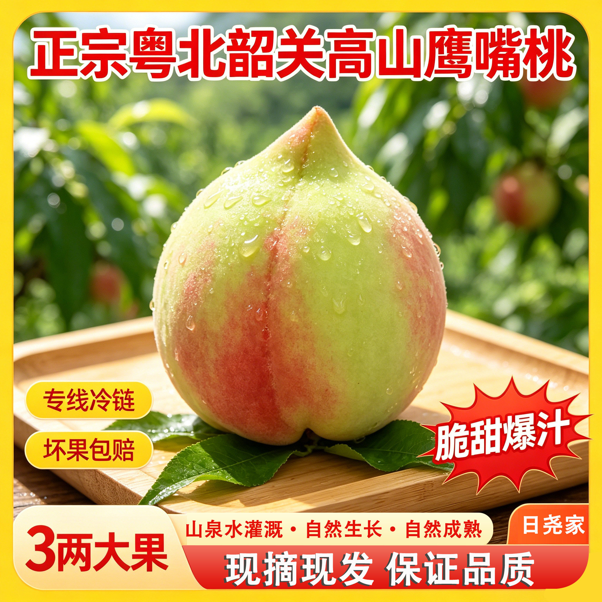 粤北韶关大果新鲜鹰嘴桃整箱