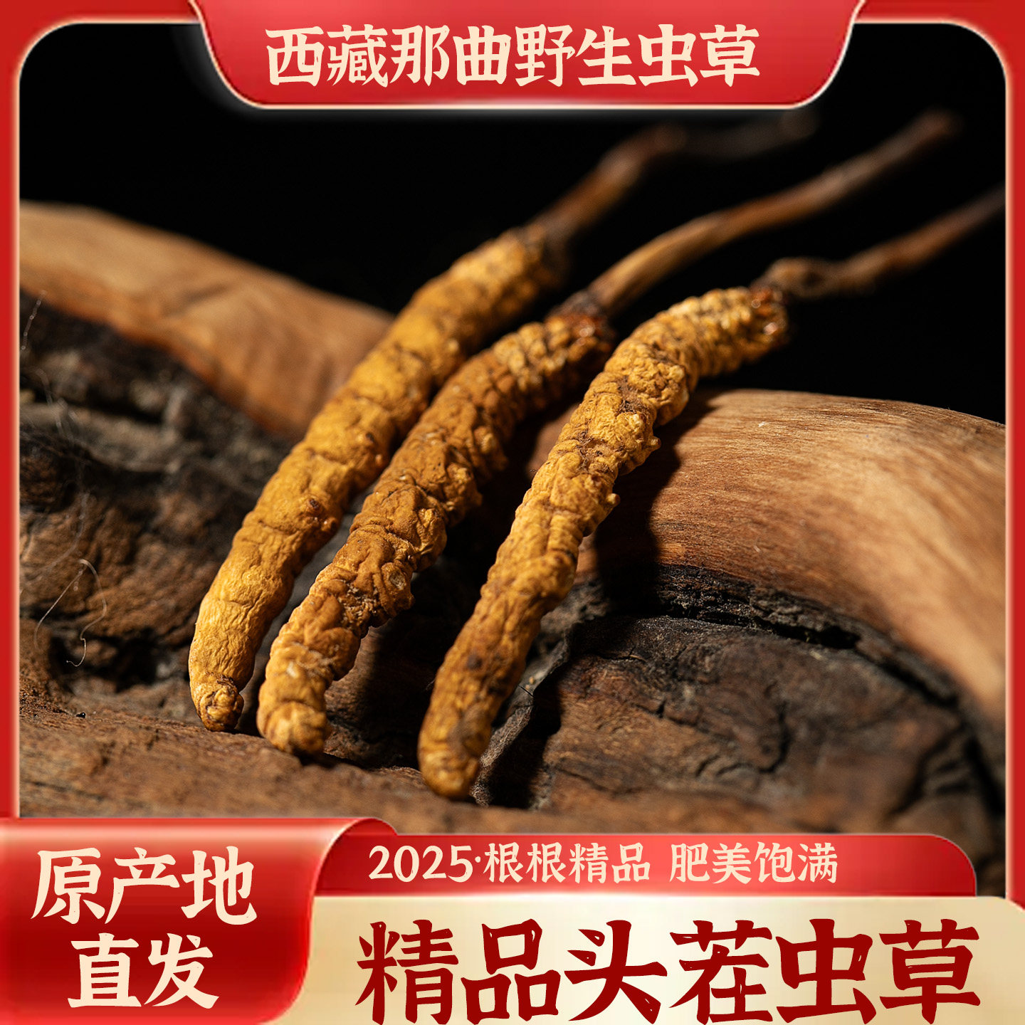 2025年头茬西藏野生正宗那曲冬虫夏草精品干虫草礼盒装顺丰包邮