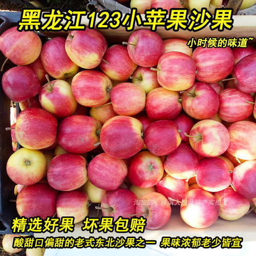 黑龙江老式沙果123小苹果新鲜5斤