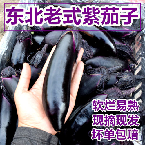 黑龙江农家现摘薄皮紫茄子5斤