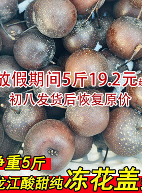 【酸甜口】花盖冻梨东北特产冻梨一兜水酸甜冻花盖梨东北生鲜水果