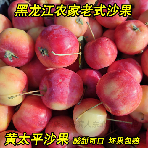 黑龙江老式沙果黄太平海棠果5斤