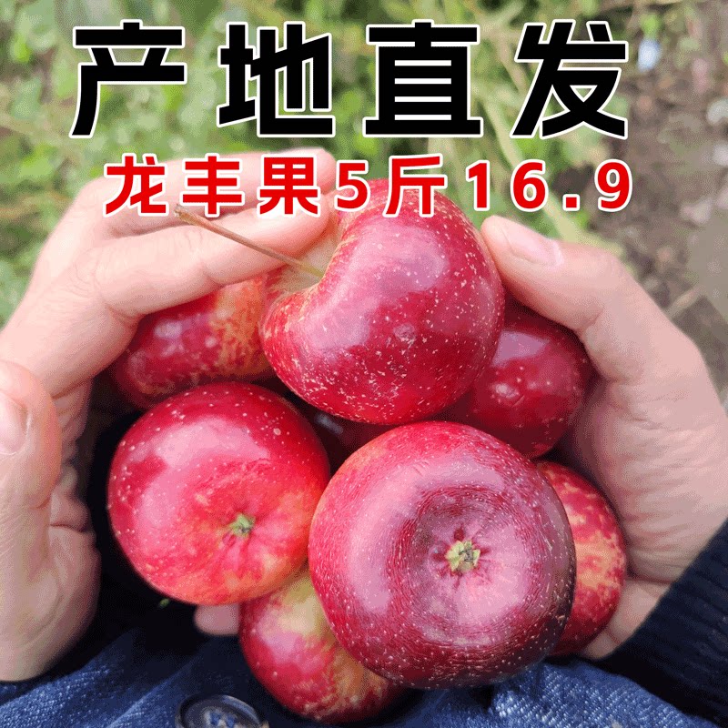 限时16.9元5斤东北龙丰大秋果