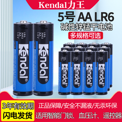 力王5号血糖仪玩具血压计电池