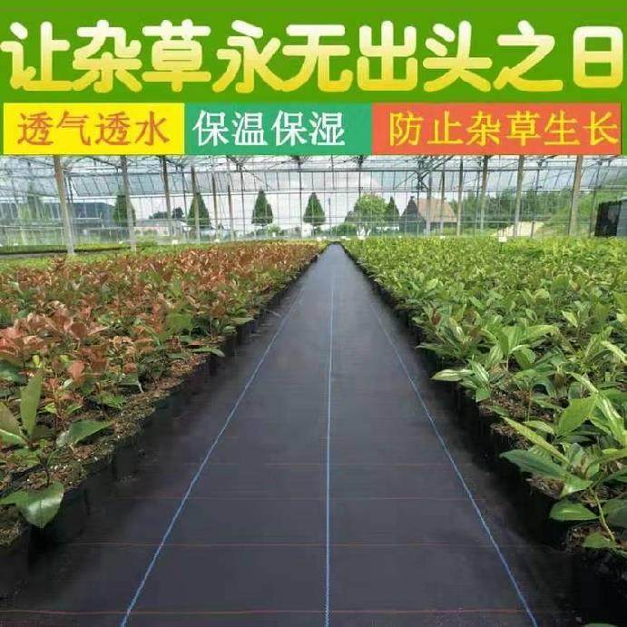黑色除草果树防草布除草布地布果树园多功能基层塑料黑膜果苗生态|ruв категории доставка цветов/цветок моделирования/растения садоводства, садовых принадлежностей, других садовых принадлежностей - от Buy2taobao.com для оказания профессиональной услуги покупки агента Taobao