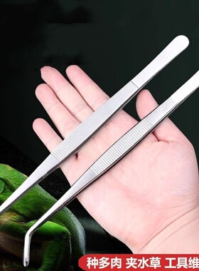 超长48cm不锈钢加长带齿大镊子鱼缸水草昆虫多肉园艺夹子镊子工具