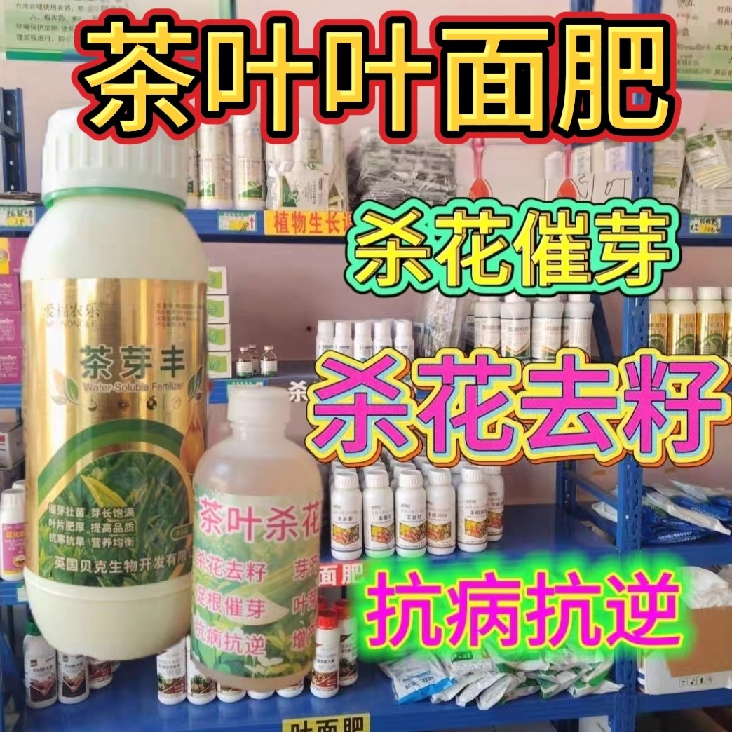 茶叶叶面肥催芽剂催芽王强力催芽叶面肥