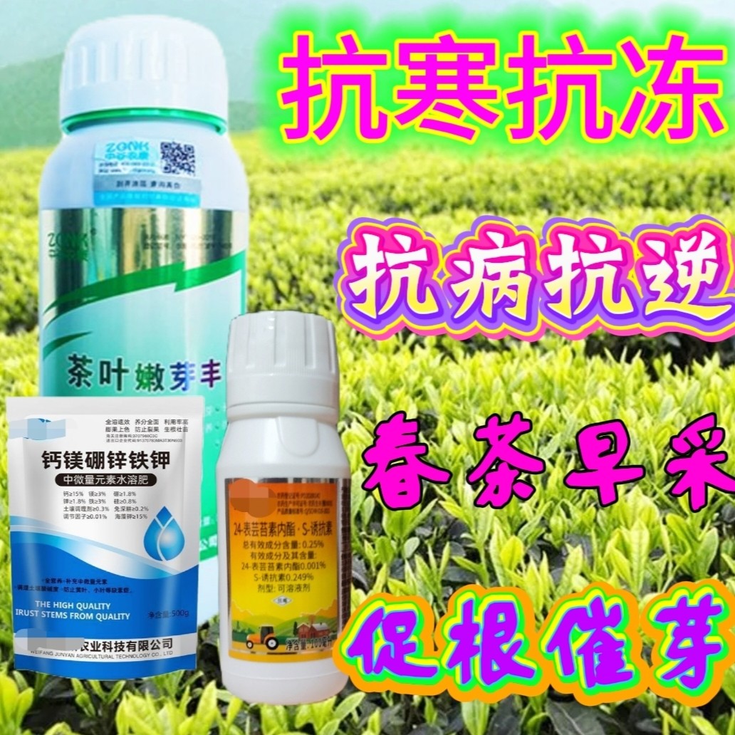 茶叶树防冻液防冻剂控花药杀花剂叶面肥