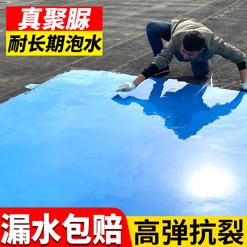 聚脲防水涂料防腐水池鱼池屋天台游泳池顶裂缝漏水补漏材料胶水