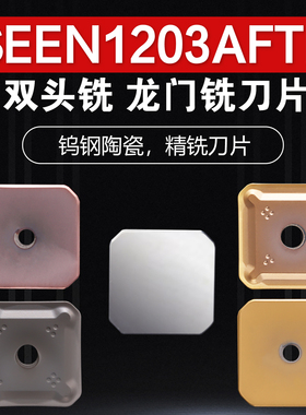 SEEN1203铣刀片精飞铸件不锈钢SEKR1504AFTN钨钢双头平铣龙门开粗