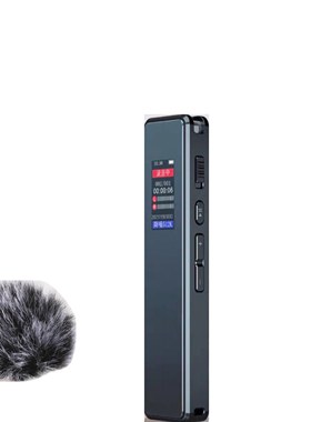 适用纽曼H5录音笔话筒毛罩专业高清降噪随身学生上课用降噪保护套