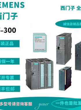 德国6ES7318 西门子模块6ES7 318-3EL00/3EL01/3FL01-0AB0 现货