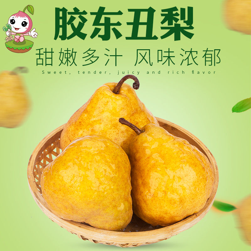 山东水果威海丑梨包邮