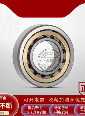 进口NSK轴承N203 N204 N205 N206 N207 N208 N209 E EW W EM M C3