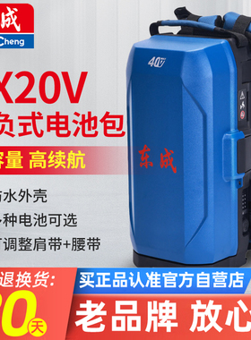 东成2x20V背负式电池背包锂电工具充电坞电动工具移动通用充电宝