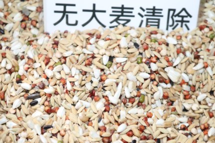 华成鸽粮无大麦清除饲料50斤种鸽幼鸽元宝鸽粮食易消化鸟食