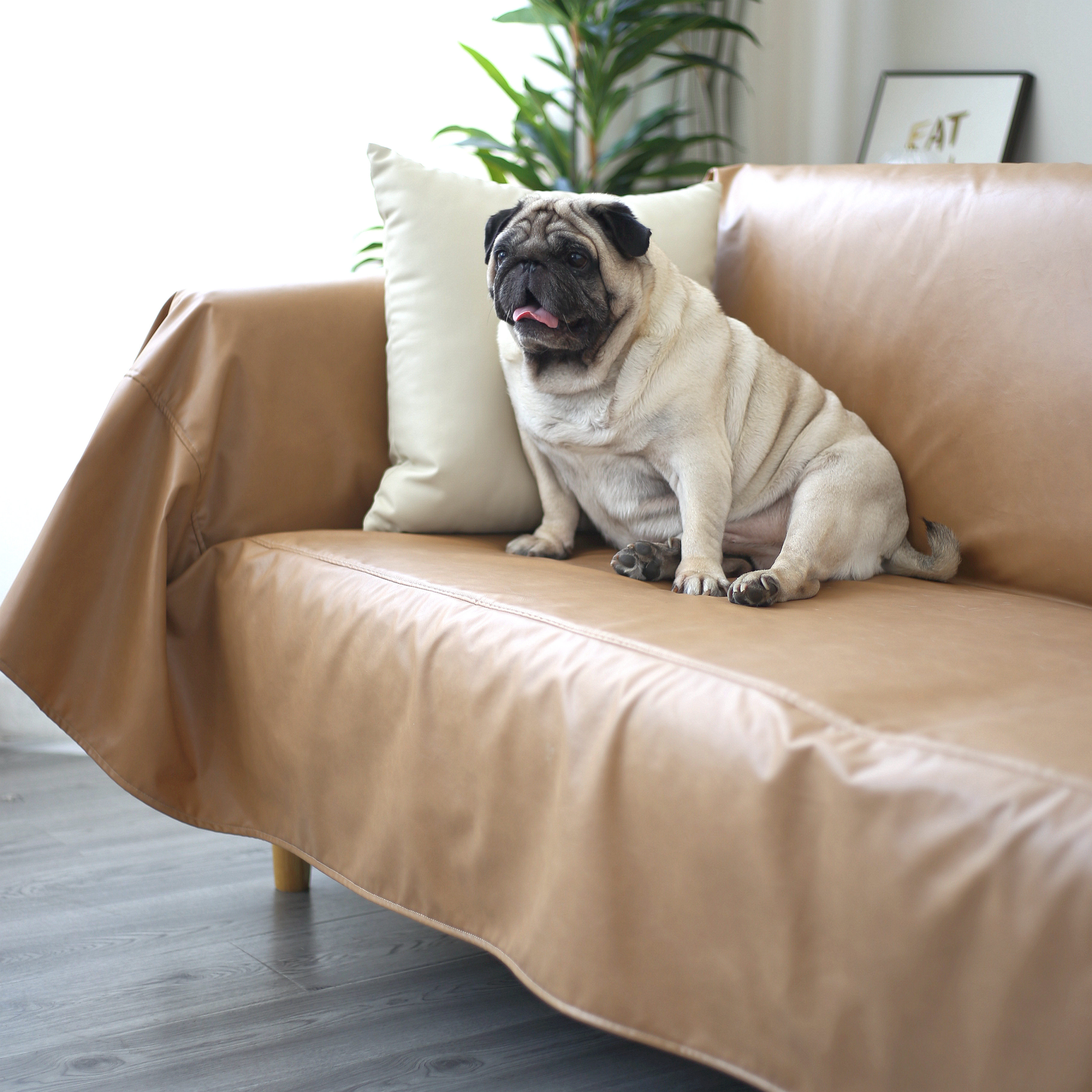 新款防水防猫抓皮沙发套保护盖布沙发巾整张全盖全包沙发罩不沾毛,居家布艺,沙发套,淘宝优惠券,粉丝福利购,淘宝优惠卷