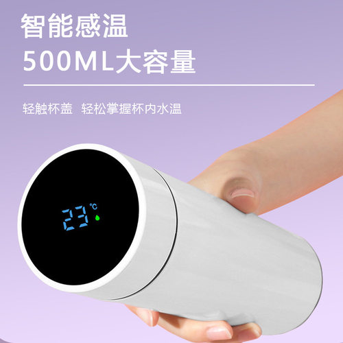 新年企业礼品送客户员工创意高档实用伴手礼飞科吹风机智能保温杯