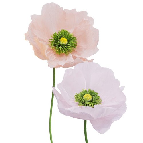 DIY皱纹纸手工花材料包虞