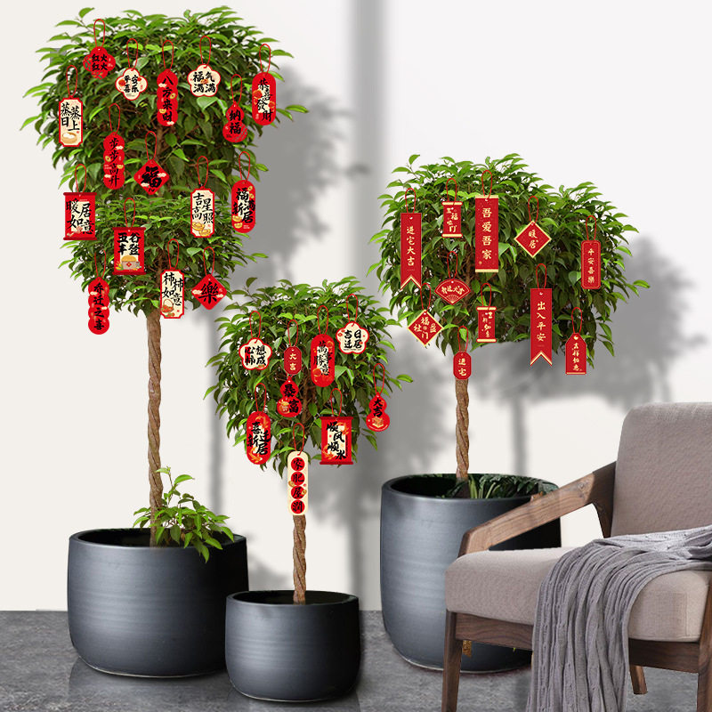 乔迁之喜装饰品盆栽绿植布置新居小灯笼挂饰搬家入宅仪式用品挂件,节庆用品/礼品,节日装扮用品,淘宝优惠券,粉丝福利购,淘宝优惠卷