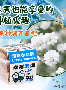 新款儿童diy种植盆栽盲盒