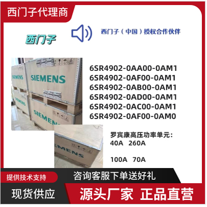 西门子高压功率单元6SR4902-0AA00/0AF00/0AD00/0AC00/0AB00-0AM1