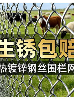 镀锌养殖铁丝网围栏钢丝网养鸡护栏网铁网格网防护网农村户外围栏