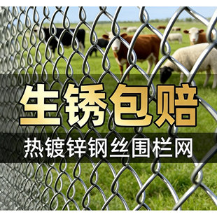 镀锌养殖铁丝网围栏钢丝网养鸡护栏网铁网格网防护网农村户外围栏