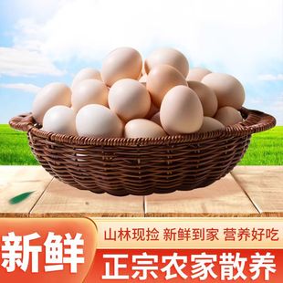 粉壳蛋农家山林散养土鸡蛋新鲜虫草鸡蛋8 枚 42g 40枚 31g