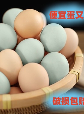 【27g-37g/枚】绿壳鸡蛋农家山林散养土鸡蛋新鲜虫草乌鸡蛋5-40枚