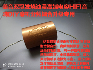 天宝双冠 铜箔浸油电容高端 老虎推荐 HIFI音响提升音质专用 400V
