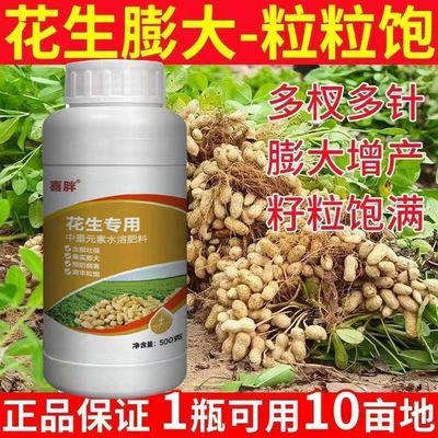 花生膨大粒粒饱正牌花生粒粒饱增产增收正品花生专用肥花生专用药