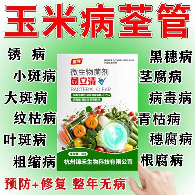 玉米病全治叶斑病黄叶枯萎烂根根腐烂杆锈病全清枯叶焦叶专用药