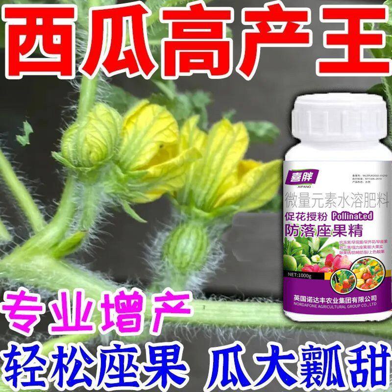 西瓜授粉专用药西瓜点花药免人工授粉全株喷雾增花保花强座果增产