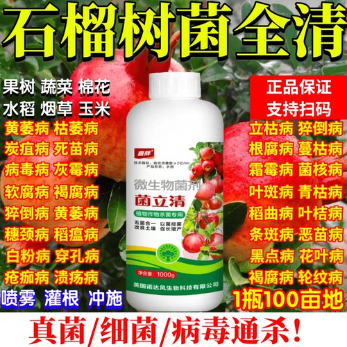 石榴病害清疮痂病沙皮病炭疽病黑斑病腐烂病烂果裂果专用杀菌剂
