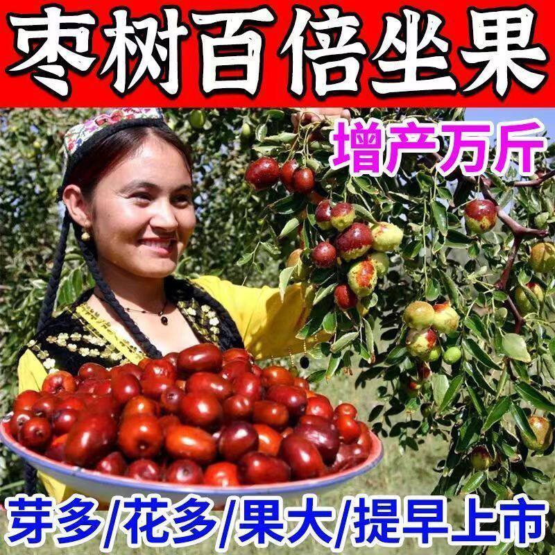 枣树授粉座果精无需沾花催花座果灵果树授粉药瓜果蔬菜保花保果