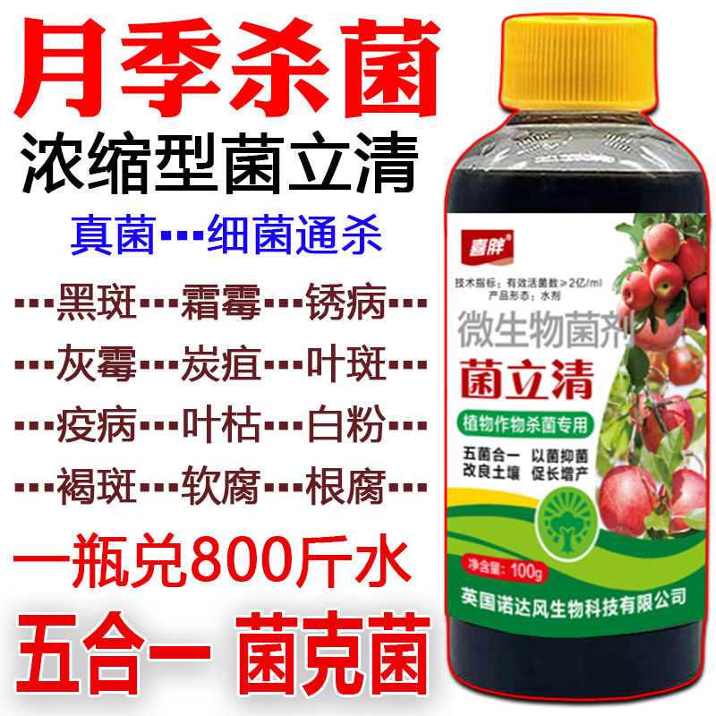月季病害月季花专用药病全治月季白粉病杀菌剂黑斑病叶斑病花卉药