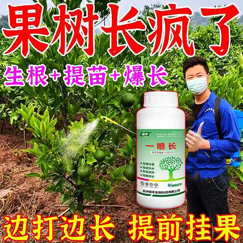 树木生长素一喷长果树专用苗木生根粉速长粗壮增高果树快速生长剂