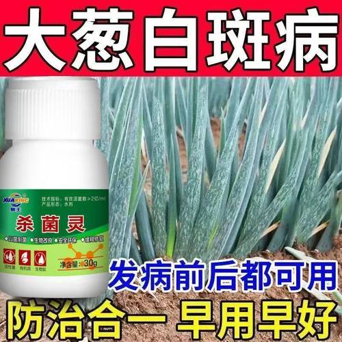大葱白斑病葱叶有白点白粉病黄叶病病全治大葱白点白斑病全治杀菌