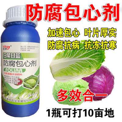 白菜甘蓝防腐包心剂白菜复合肥水溶肥大白菜包心菜甘蓝叶面肥