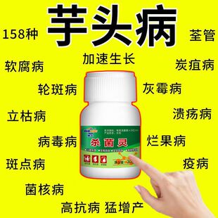 芋头专用药疫病烂叶烂梗桐钱叶黄叶死苗一喷绿污斑病叶枯黄全都管