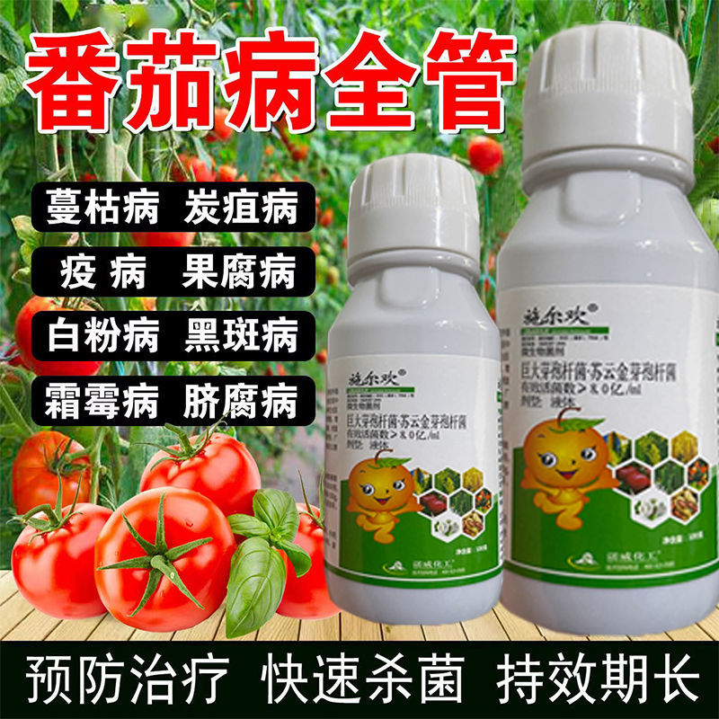 番茄专用病毒病溃疡青枯斑点早晚疫病特效药西红柿病害全杀叶面肥